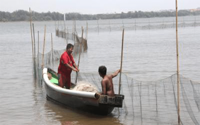 Panaji: Annual 61-day fishing ban in Goa to begin today