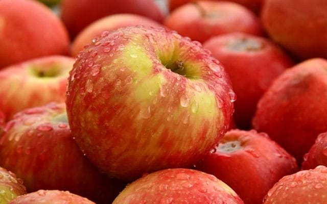 Duty removal on US apples imports not to affect domestic growers